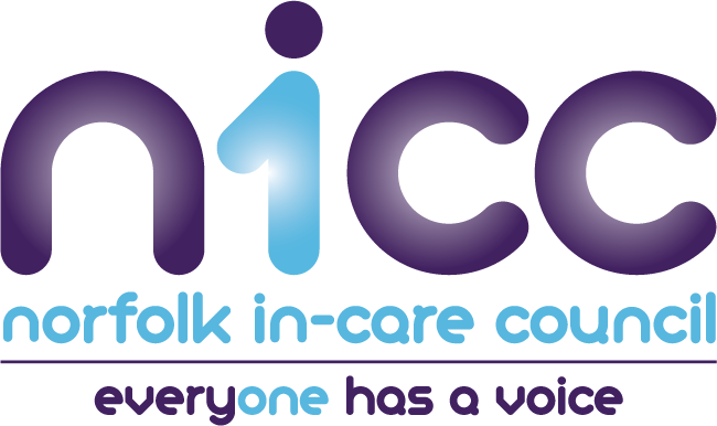 In-Care Council new webpages launched