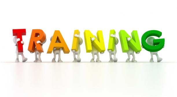 Fabricated and Induced Illness and Supervision Orders Training
