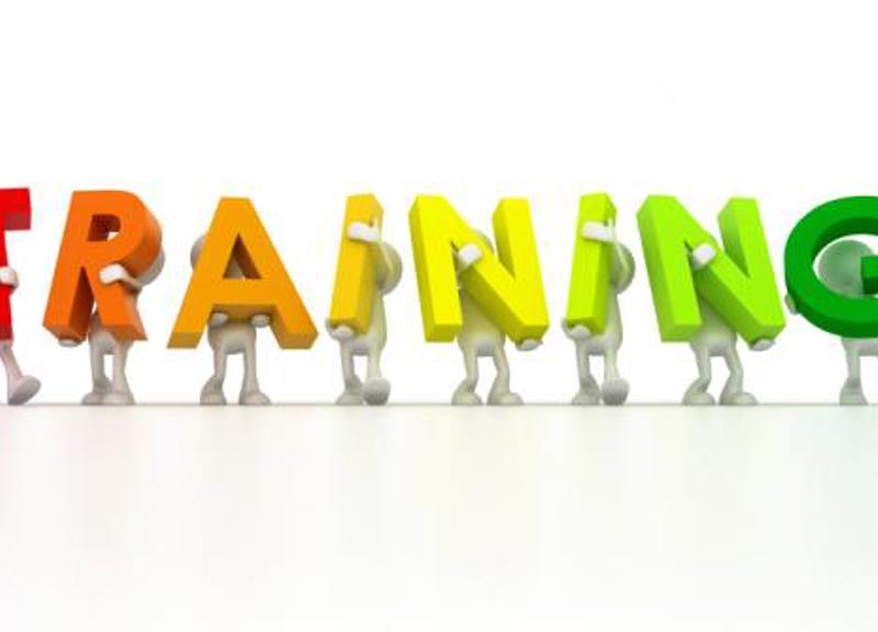 Fabricated and Induced Illness and Supervision Orders Training