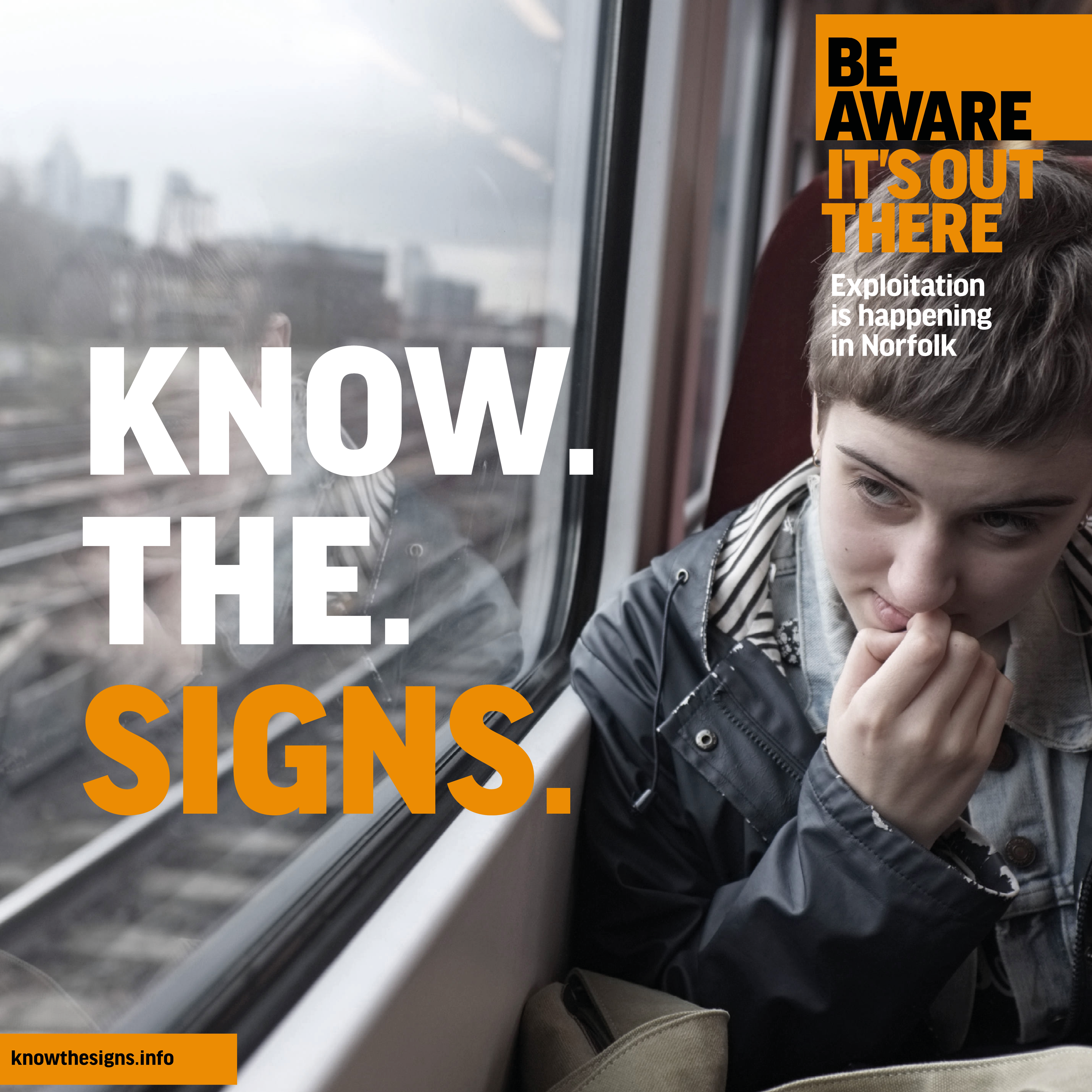 Know The Signs Girl On The Train